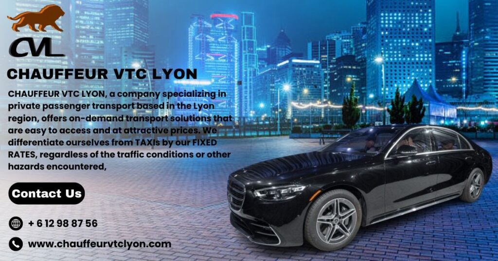 Lyon VTC Driver